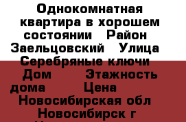 Однокомнатная квартира в хорошем состоянии › Район ­ Заельцовский › Улица ­ Серебряные ключи › Дом ­ 4 › Этажность дома ­ 16 › Цена ­ 12 500 - Новосибирская обл., Новосибирск г. Недвижимость » Квартиры аренда   
